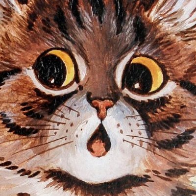 emipimuff's profile picture. recuerdo acariciar sin miedo las alas de un alma herida