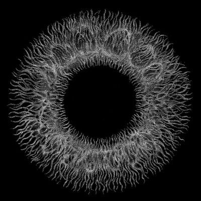 BradipoRick's profile picture. Audio/Visual Dealer