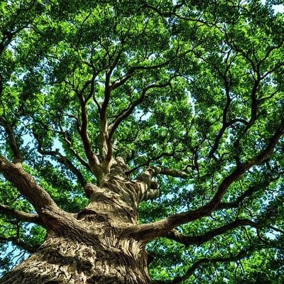 CHIBUIKEJo32219's profile picture. it all about positivity