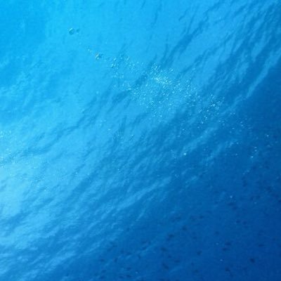 NasserAlshaali's profile picture. 