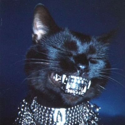 MARSEIL29287906's profile picture. 