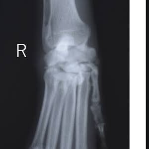 anpon_tan25's profile picture. 頭の中整理用垢