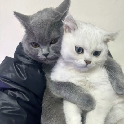 iiunomee2's profile picture. 