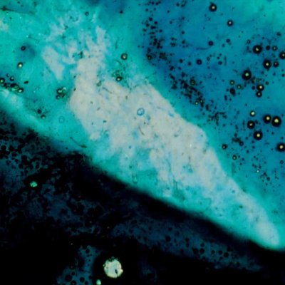 FourFourfarken2's profile picture. Anti-imperialism
Agnes Varda, Aki Kaurismaki fan