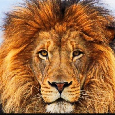 OHJAY971's profile picture. AJALA