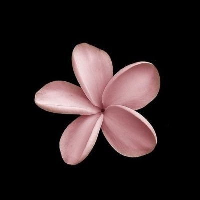 luvelore's profile picture. 19 | art + design | N + O 4eva |  tiktok : https://t.co/7nh1AhOwfj