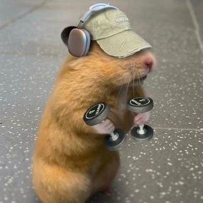 Blxcknigh's profile picture. 