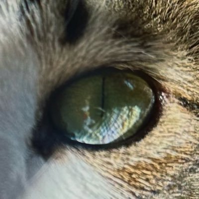 azeitanna's profile picture. i slay #slay