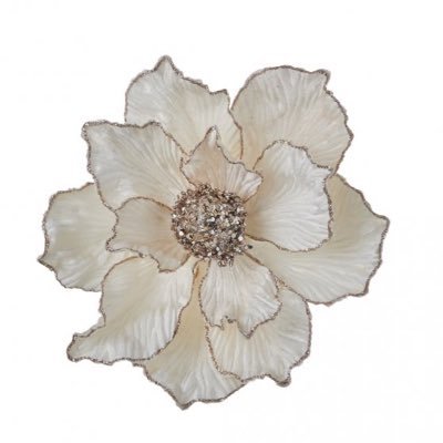 TheMasarra's profile picture. صحه وجمال وتسوق