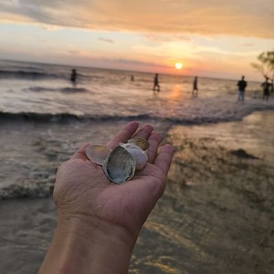 eutrophs23's profile picture.