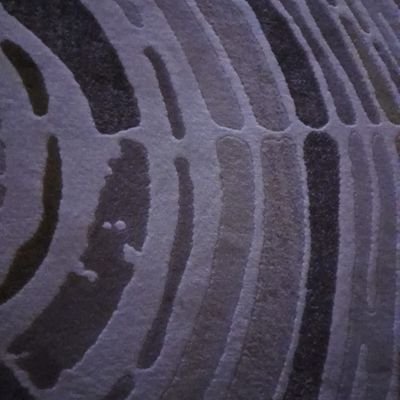 gztpbrl2025's profile picture. 