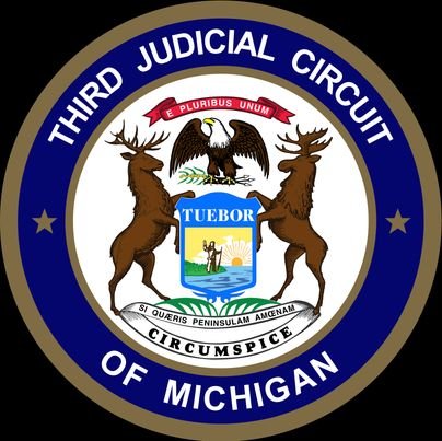 3rdccorg's profile picture. Official site of Third Circuit Court/MI. Posts court info, events, and news to court users & public. RTs/Likes are not endorsements.  No public comments posted.