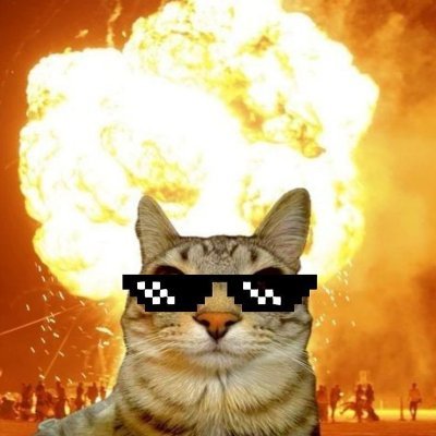 rouerziin's profile picture. pro player and dreamer 
Only deus
playing for @straysvlr