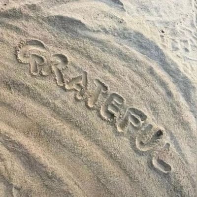 Am_Haryourmedeh's profile picture.
