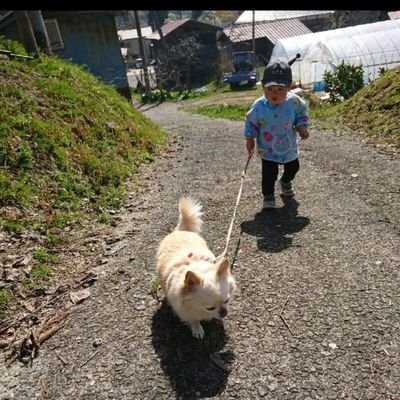 hashi401965's profile picture. 