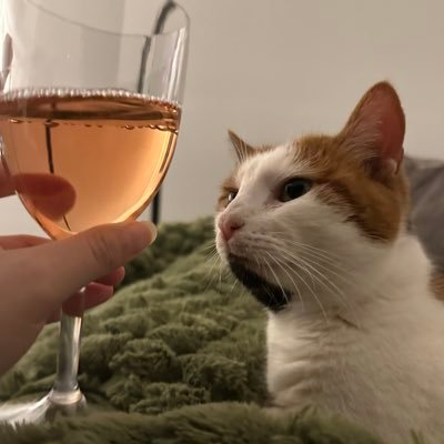 goutdelacerise's profile picture. creating gaps in the literature, studying the history of analytic philosophy and moral thought, talking about radical feminism :D