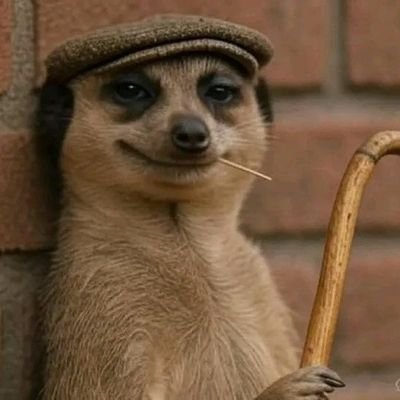 KingDakana's profile picture. Let's break Elon's app. I will follow 5 Million accounts & probably get banned.... Andikhathali‼️