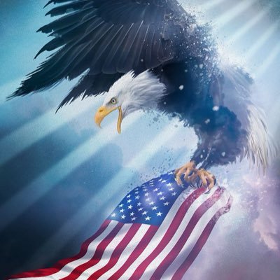 Shark17418913's profile picture. Indian-American  and here to Expressing my opinion.