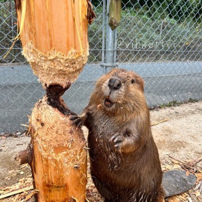 Edt94uq's profile picture. 