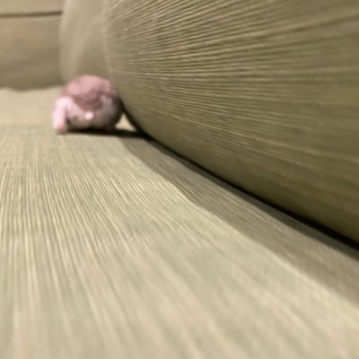 nZi0lwSbv734935's profile picture. ぎんにはまだ負けられないかもしれない