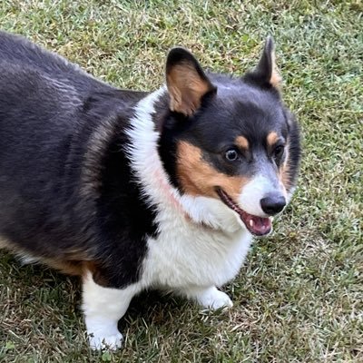 Helpyourself99's profile picture. Just here for the giggles