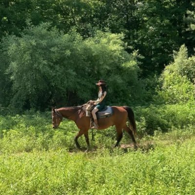 vev_erly's profile picture. Strong as Steel