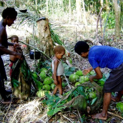 ArdianFais6037's profile picture. 