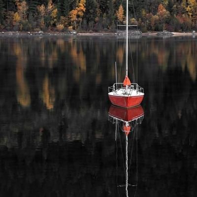 Tootsierolotmsi's profile picture.