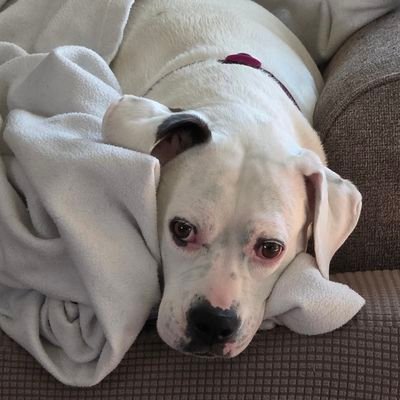 gameslife22's profile picture. Love games