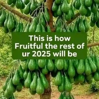 Henry3358378054's profile picture. D2i4v6i8n5e1