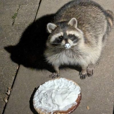 Milo_VRC's profile picture. I'm 23. 🔞