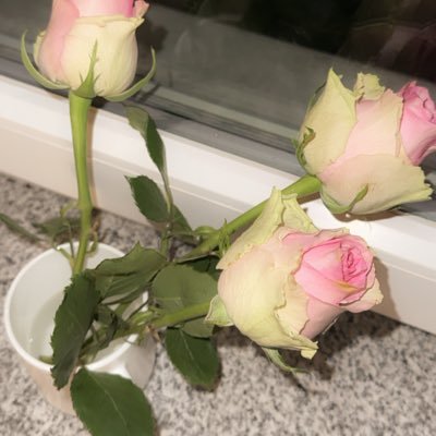 zcdcnx's profile picture. 🇩🇪 해외살이 교환학생 일상계