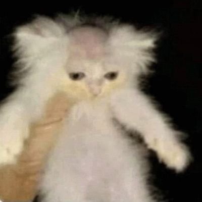 vanilyalibebek's profile picture. canim kendim