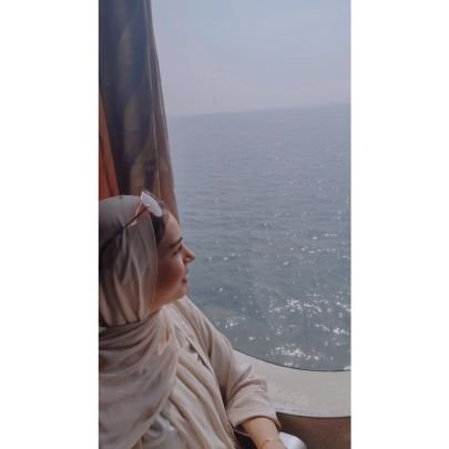 SolimanGamel's profile picture. Faculty of Commerce Tanta University