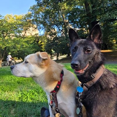 AybalaF58253's profile picture. 