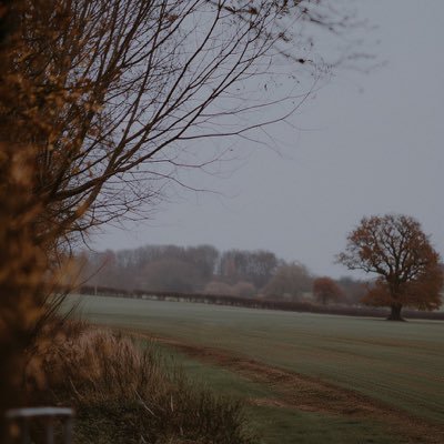 cocom_isai's profile picture. Me gusta los días ☁, la lluvia, salir a caminar, leer libros.