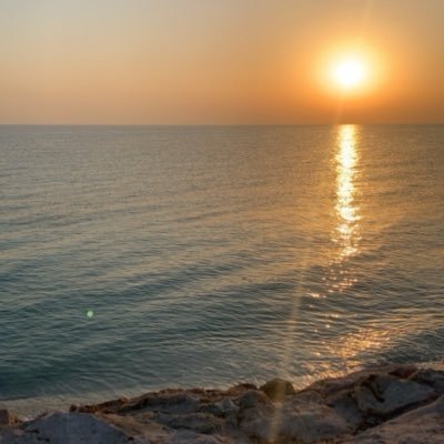 1FaisalMQ's profile picture. 3rd Year Dental Student | @Dent1444 | @psau_edu_sa