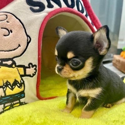 iykykpiw's profile picture. 