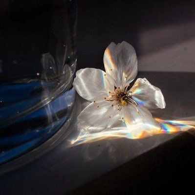 essp1i's profile picture. Lost in my own peace |🦋🎨🎧🎬👩🏻‍💻💙