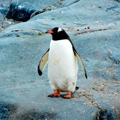 MauricioFormar1's profile picture. Hincha de River, ¡recontra K! Siempre con ganas de rockear! @mauricio1973. bsky. social