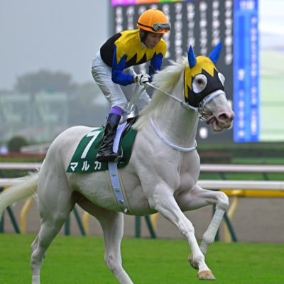 pen_biyori's profile picture. 競馬🏇レジェンド豊さん推し💜💜 2023年位から障害レースも好きです 気分で呟きます。豊ファンの方、競馬好きの方、仲良くしてください✨追記、SMAPも永遠に♡