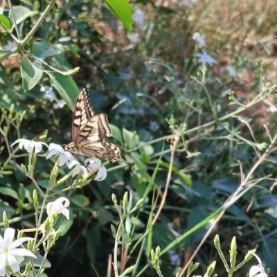 EM_Alferjany's profile picture. {فاطرَ السَّماواتِ والأرضِ أنتَ وليِّي فِي الدُّنيَا والآخِرةِ ۖ توفَّنِي مُسلمًا وألحقنِي بِالصَّالحِينَ}.

• EEE 👷🏻‍♀️⚡️