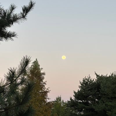 alalumiere's profile picture. 