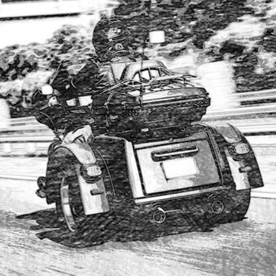 Deucali00's profile picture. 中卒、SLDなので難しいことは分かりません。吃音症でつれ舌のため滑舌が悪く話すのは苦手。小さな建設系会社を経営。施設育ち。 戦争反対。反共産主義。