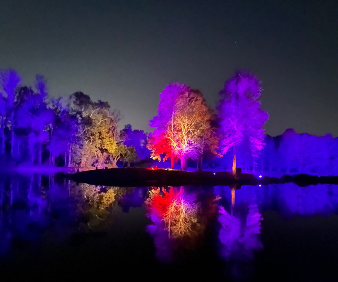 senditagainplz's profile picture. 