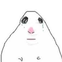 F111sh1z3t's profile picture. 