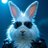 rabbitonator's profile image