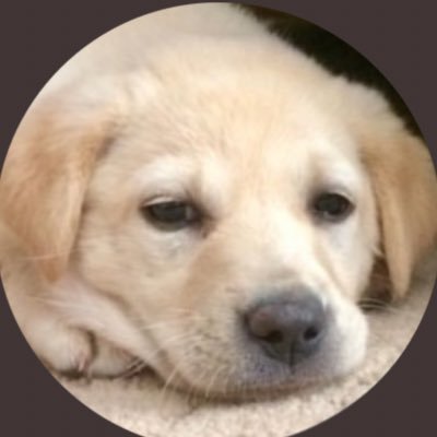 LindaNTx's profile picture. I am Charlie Kirk. Very Married. 🚫protected profiles. Member of Cherokee Tribe. Karma is for everyone.
