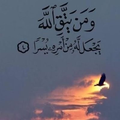 MomenGabr526954's profile picture. 