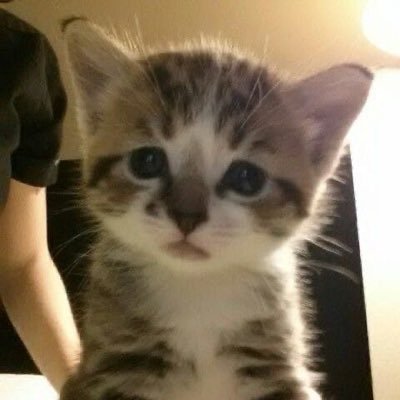 369ethem's profile picture. empty